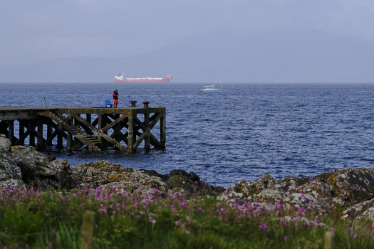 Person in red jacket standing on weathered wooden pier overlooking calm blue ocean with distant ships.