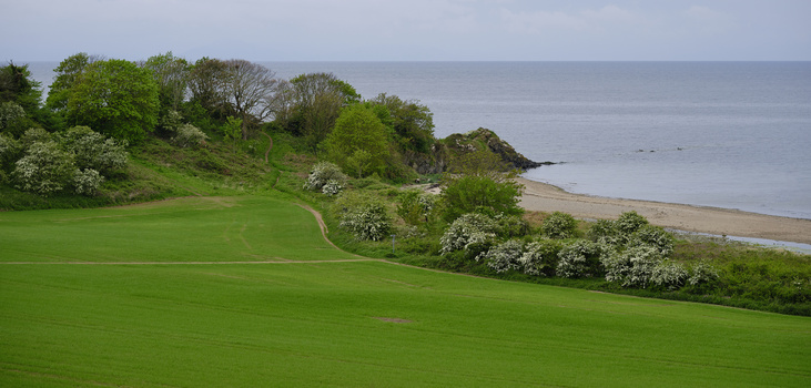 Lush green sloping meadow descending to a rocky coastline and calm sea under overcast sky.