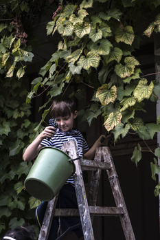 Child on wooden ladder holding watering can among ivy-covered foliage at night.