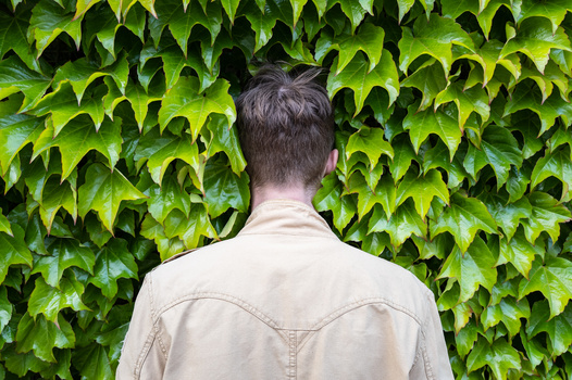 Person viewed from behind standing against a wall of dense green ivy leaves.