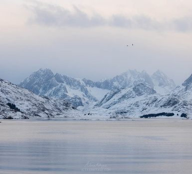 Snow-covered mountains reflected in a frozen lake under overcast skies.
