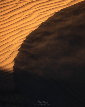 Desert sand dune with rippling texture lit by golden sunlight casting deep shadows.