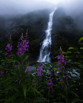 Waterfall cascading down a misty mountainside framed by purple flowers in the foreground.