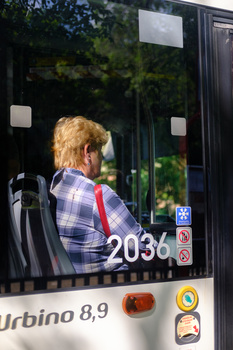 Blonde person in plaid shirt looking out bus window with route number 2036 visible on glass.
