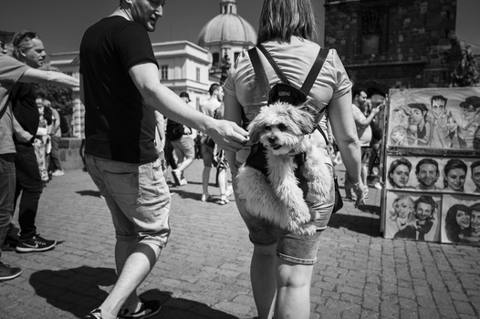 Man petting a small dog held by a woman in a public plaza with historic architecture in the background.
