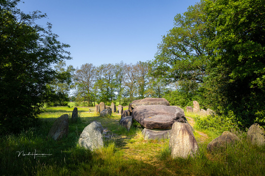 Ancient stone dolmen surrounded by standing stones in a grassy field with trees.