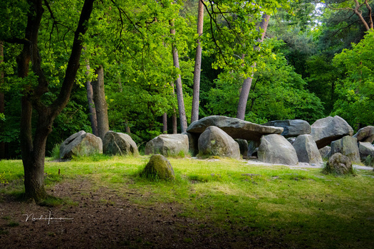 Ancient stone dolmen structure surrounded by moss-covered boulders beneath tall forest trees.