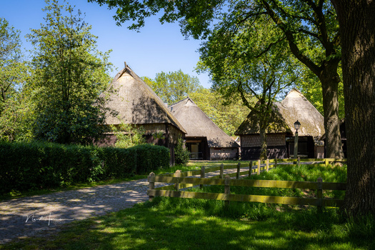 Traditional thatched-roof farm buildings with timber framing nestled among mature trees.