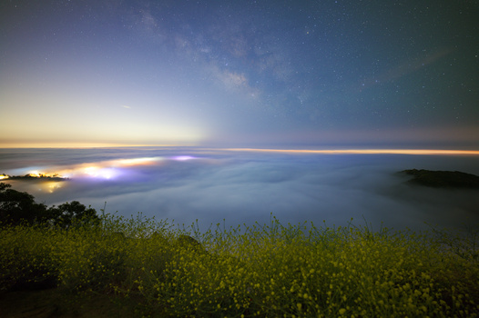 Coastal landscape at twilight with bioluminescent water glowing blue beneath a star-filled sky.