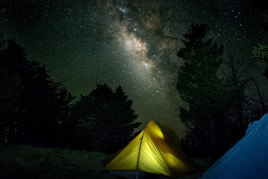 Illuminated yellow tent beneath towering evergreen trees and the Milky Way galaxy.