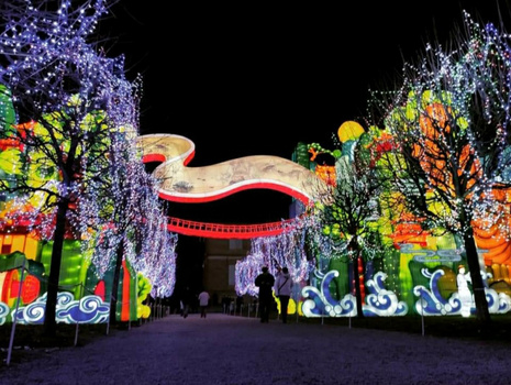 Nighttime light installation featuring illuminated trees lining a pathway toward a glowing archway structure.