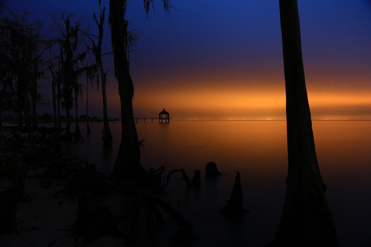 Silhouetted palm trees frame a calm water landscape at sunset, with a distant pier glowing in golden light.