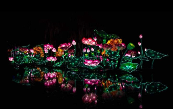 Illuminated lantern display with colorful flowers and foliage reflected in dark water.