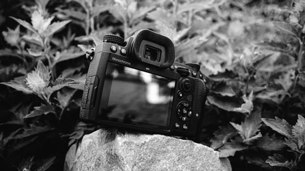 Digital camera displaying a bright exposure on its rear LCD screen, positioned on a rock surrounded by foliage in black and white.