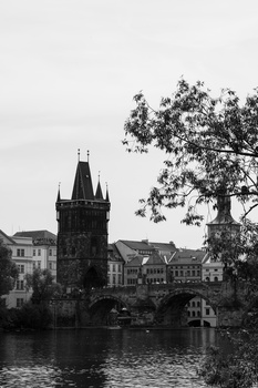 Gothic tower reflected in still water, flanked by period architecture and leafy tree in black and white.