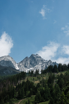 Alpine mountain peak with forested slopes under partly cloudy sky.