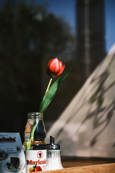 Red tulip in clear glass vase against blurred architectural background with dramatic shadow.