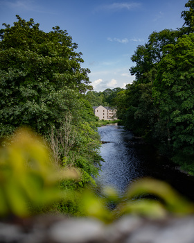 River flowing through dense green woodland with a house visible in the distance across the water.