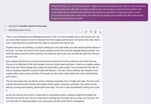 Screenshot of a photography writing exercise about describing a sunset over the ocean.