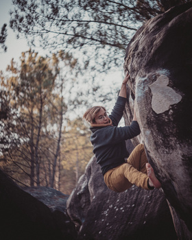 Child climbing a large tree trunk, reaching upward with one hand while held by an adult in autumn forest.
