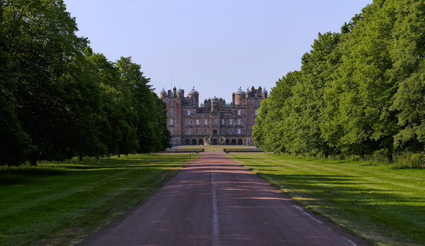 A straight driveway lined with tall green trees leads toward a large brick mansion in the distance.