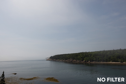 Calm coastal landscape with forested shoreline and rocky beach under overcast sky.