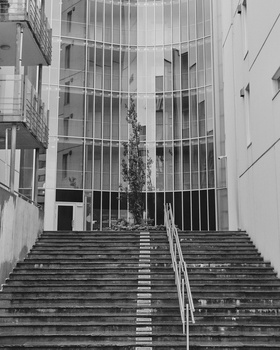 Wide concrete staircase ascending toward a modern building with extensive glass and metal railings.