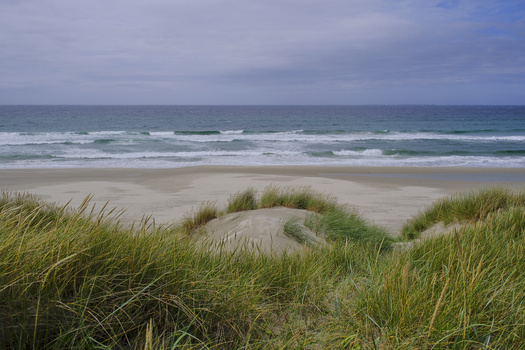 Coastal dune grass in foreground overlooking sandy beach and rolling ocean waves under partly cloudy sky.