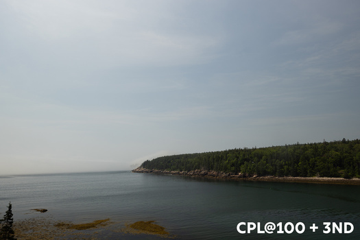 Calm coastal landscape with forested shoreline and rocky beach under overcast sky.