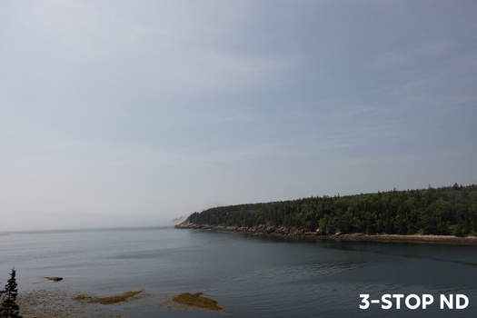 Calm coastal landscape with forested shoreline under overcast sky.