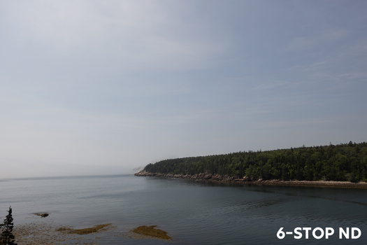 Misty coastal landscape with forested headland and calm water under overcast sky.