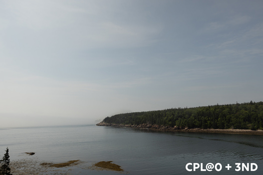 Calm coastal landscape with forested shoreline and rocky beach under overcast sky.