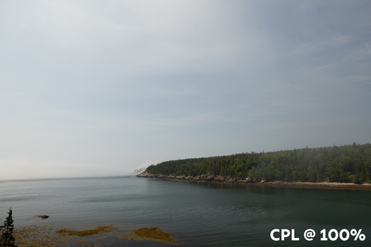Calm coastal landscape with forested shoreline and rocky beach under overcast sky.
