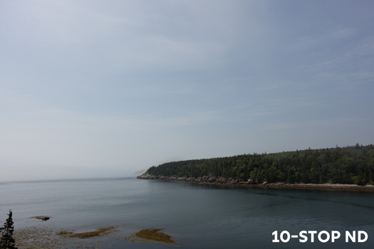 Calm coastal waters with forested shoreline and rocky outcrops under overcast sky.