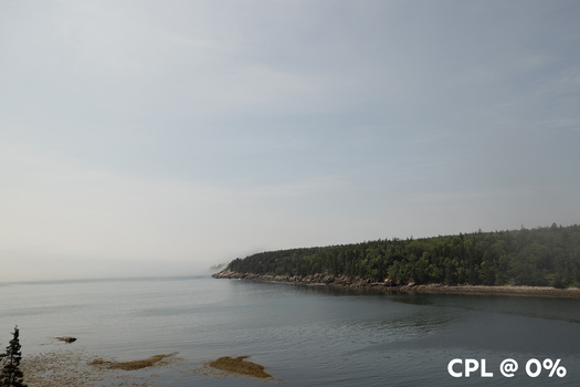 Misty coastal landscape with forested shoreline and calm water under overcast sky.