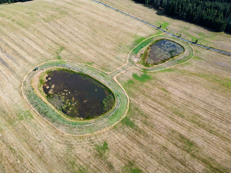 Aerial view of two oval wetland ponds surrounded by green vegetation in a harvested grain field.