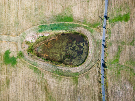 Aerial view of a water-filled depression in a harvested grain field with a blue pipeline running alongside.