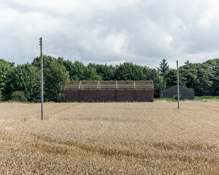 Grain field with wooden storage building and utility poles under overcast sky.