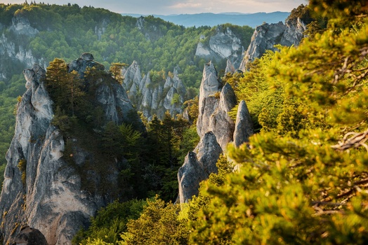 Dramatic limestone rock formations rising through dense green forest in a mountain valley.