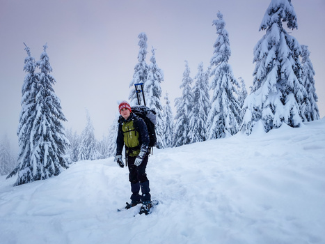Backcountry skier in neon yellow jacket ascending snowy slope with snow-laden evergreens in background.