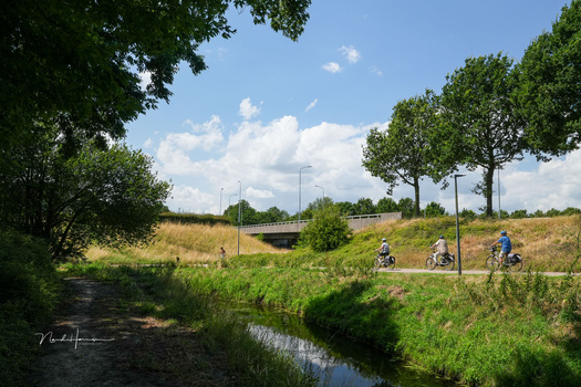 Cyclists on a paved path beside a meandering stream lined with green vegetation and trees.