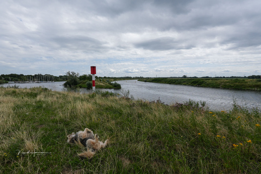 Red and white navigation marker standing in shallow water along a grassy riverbank under overcast sky.
