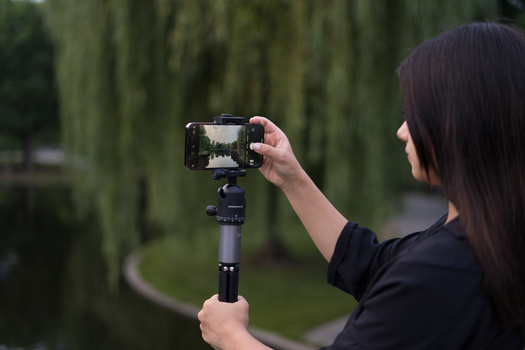 Person holding a smartphone mounted on a stabilizer while filming outdoors among tall cypress trees.