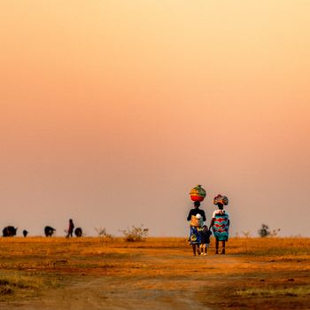 Two adults and two children standing on an arid plain beneath a peachy sunset sky.
