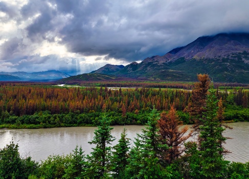 Mountainous landscape with coniferous forest, braided river, and dramatic clouded sky.