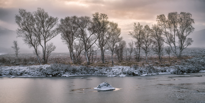 Bare trees line a snowy riverbank with a small ice-covered island in the center of calm water.
