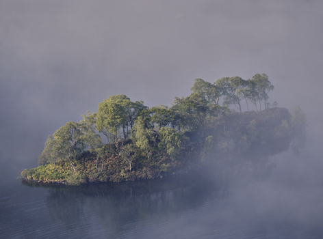 Small forested island shrouded in thick mist, reflected in still water below.