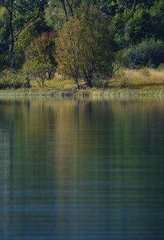 Calm water reflects overhanging trees and vegetation along a riverbank.