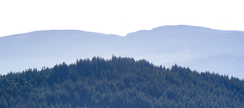 Dense coniferous forest covering a mountain ridge beneath a hazy blue sky.