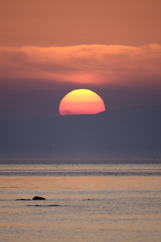 Large golden sun setting halfway below the horizon over calm ocean waters at dusk.